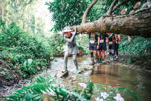 BIB: 
                            <button type="button" onclick="openModal(25515065)" class="btn btn-primary btn-sm float-right btn-popup" data-toggle="modal" data-target=".modal-high-quality">
                        <i class="fas fa-shopping-cart"></i> Add to Cart
                    </button>
                                            <button type="button" onclick="isThisMe(25515065, true)" class="btn btn-success btn-sm float-right btn-popup btn-isme hidden" data-toggle="tooltip" data-placement="bottom" title="นี่คือรูปของคุณใช่ไหม คลิกที่นี่เพื่อเอาเข้าอัลบั้ม">
                        <i class="fas fa-plus"></i> Add to album
                    </button>
                    <button type="button" onclick="isThisMe(25515065, false)" class="btn btn-warning btn-sm float-right btn-popup btn-isnotme hidden">
                        <i class="fas fa-ban"></i> Remove from album
                    </button>